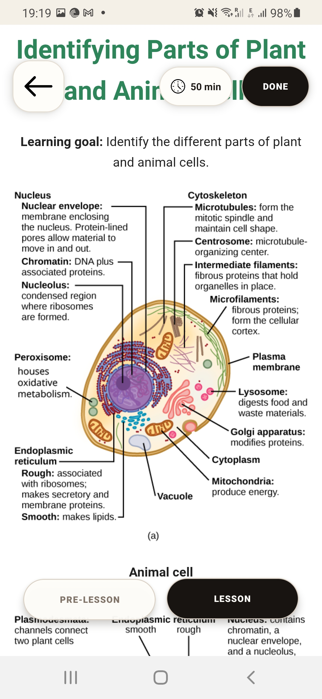 Ractorly lesson screen showing a biology cell diagram
